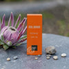 City Shield SPF30, with Tint - 100% mineral daily protection